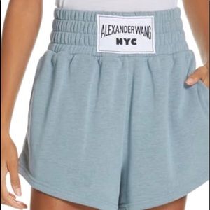 ISO.... T By Alexander Wang Terry Short
